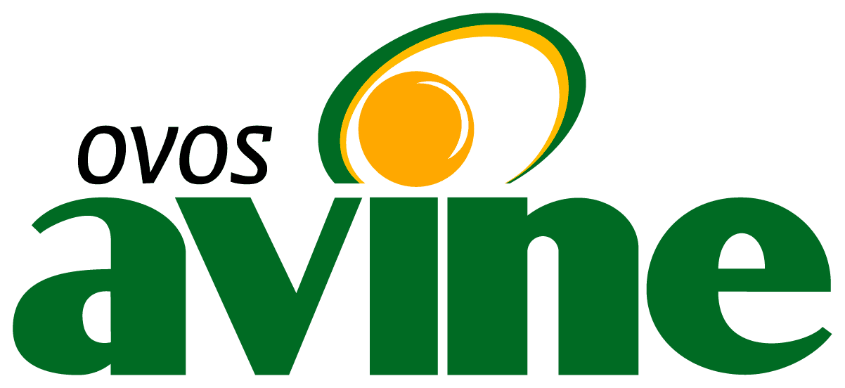 Avine
