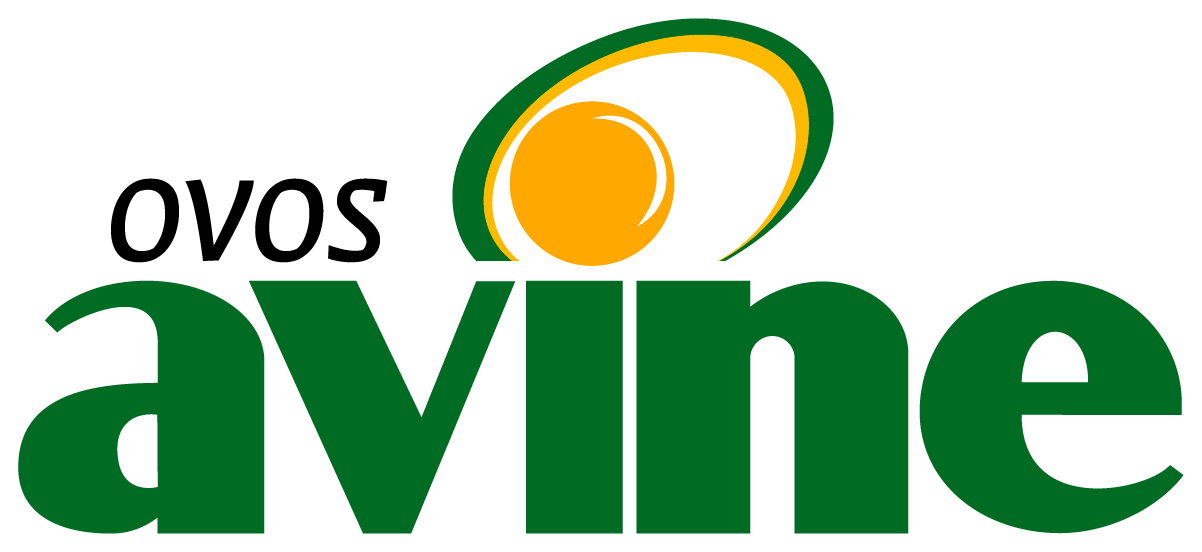 Avine